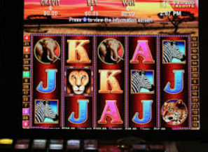 壹号电子娱乐app手机版